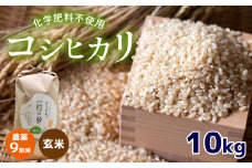 農薬9割減 ・ 化学肥料不使用 コシヒカリ(玄米)  10kg 令和6年産 米 (2025年3月以降の発送予定) ｜ 有機農産物認証推進協会認定 玄米 お米 米 こしひかり 農薬減 美祢市 山口県 秋芳 カルスト台地 湧き水 ミネラル 結び家 くらとも