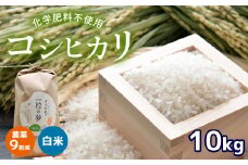 農薬9割減 ・ 化学肥料不使用 コシヒカリ 10kg 令和6年産 米 (2025年3月以降の発送予定) ｜ 有機農産物認証推進協会認定 精米 お米 米 こしひかり 農薬減 美祢市 山口県 秋芳 カルスト台地 湧き水 ミネラル 結び家 くらとも