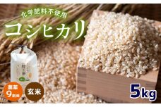 農薬9割減 ・ 化学肥料不使用 コシヒカリ(玄米)  5kg 令和6年産 米 (2025年2月以降の発送予定) ｜ 有機農産物認証推進協会認定 玄米 お米 米 こしひかり 農薬減 美祢市 山口県 秋芳 カルスト台地 湧き水 ミネラル 結び家 くらとも