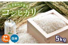農薬9割減 ・ 化学肥料不使用 コシヒカリ 5kg 令和6年産 米 (2025年2月以降の発送予定) ｜ 有機農産物認証推進協会認定 精米 お米 米 こしひかり 農薬減 美祢市 山口県 秋芳 カルスト台地 湧き水 ミネラル 結び家 くらとも
