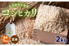 農薬9割減 ・ 化学肥料不使用 コシヒカリ(玄米)  2kg 令和6年産 米 (2025年2月以降の発送予定) ｜ 有機農産物認証推進協会認定 玄米 お米 米 こしひかり 農薬減 美祢市 山口県 秋芳 カルスト台地 湧き水 ミネラル 結び家 くらとも