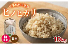 無農薬 ・ 化学肥料不使用 ヒノヒカリ(玄米) 10kg 令和6年産 米 (2025年2月以降の発送予定) ｜ 有機農産物認証推進協会認定 玄米 お米 米 ひのひかり こだわり 美祢市 山口県 秋芳 カルスト台地 湧き水 ミネラル 結び家 くらとも