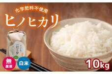 無農薬 ・ 化学肥料不使用 ヒノヒカリ 10kg  令和6年産 米 (2025年2月以降の発送予定) ｜ 有機農産物認証推進協会認定 精米 お米 米 ひのひかり こだわり 美祢市 山口県 秋芳 カルスト台地 湧き水 ミネラル 結び家 くらとも