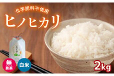無農薬 ・ 化学肥料不使用 ヒノヒカリ 2kg  令和6年産 米 (2025年2月以降の発送予定)  ｜有機農産物認証推進協会認定 精米 お米 米 ひのひかり 美祢市 山口県 秋芳 カルスト台地 湧き水 ミネラル 結び家 くらとも