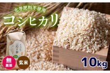 無農薬 ・ 化学肥料不使用 コシヒカリ(玄米) 10kg 令和6年産 米 (2025年2月以降の発送予定) ｜ 有機農産物認証推進協会認定 玄米 お米 米 こしひかり 美祢市 山口県 秋芳 カルスト台地 湧き水 ミネラル 結び家 くらとも