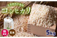 無農薬 ・ 化学肥料不使用 コシヒカリ(玄米)  5kg 令和6年産 米 (2025年2月以降の発送予定)  ｜ 有機農産物認証推進協会認定 玄米 お米 米 こしひかり 美祢市 山口県 秋芳 カルスト台地 湧き水 ミネラル 結び家 くらとも