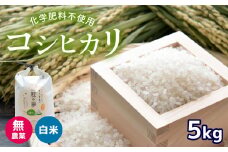 無農薬 ・ 化学肥料不使用 コシヒカリ 5kg 令和6年産 米 (2025年2月以降の発送予定)   ｜ 有機農産物認証推進協会認定 精米 お米 米 こしひかり 美祢市 山口県 秋芳 カルスト台地 湧き水 ミネラル 結び家 くらとも