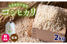 無農薬 ・ 化学肥料不使用 コシヒカリ(玄米)  2kg 令和6年産 米 (2025年2月以降の発送予定)    ｜ 有機農産物認証推進協会認定 玄米 お米 米 こしひかり 無農薬 美祢市 山口県 秋芳 カルスト台地 湧き水 ミネラル 結び家 くらとも