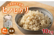 農薬9割減 ・ 化学肥料不使用 ヒノヒカリ(玄米)  10kg  令和6年産 米 (2025年2月以降の発送予定)｜ 有機農産物認証推進協会認定 玄米 お米 米 ひのひかり 農薬減 美祢市 山口県 秋芳 カルスト台地 湧き水 ミネラル 結び家 くらとも
