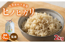 農薬9割減 ・ 化学肥料不使用 ヒノヒカリ(玄米)  2kg 令和6年産 米 (2025年2月以降の発送予定) ｜ 有機農産物認証推進協会認定 玄米 お米 米 ひのひかり 農薬減 美祢市 山口県 秋芳 カルスト台地 湧き水 ミネラル 結び家 くらとも
