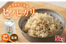 農薬9割減 ・ 化学肥料不使用 ヒノヒカリ(玄米)  5kg  令和6年産 米 (2025年2月以降の発送予定)｜ 有機農産物認証推進協会認定 玄米 お米 米 ひのひかり 農薬減 美祢市 山口県 秋芳 カルスト台地 湧き水 ミネラル 結び家 くらとも