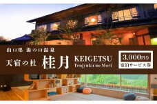 天宿の杜 桂月 宿泊サービス券 ( 3,000円分 ) ｜  宿泊券 宿泊 チケット 旅館 湯の口 温泉 部屋風呂 露天風呂 食事 サウナ ロウリュウ 静養 美祢市 山口県 美祢 名湯 旅行