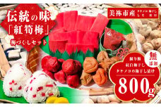 紅筍梅 タケノコの梅干し漬け 紅白梅干しセット 800g｜ ウメ 梅 梅干し 無添加 詰め合わせ 山口 美祢 特産品 しそ 赤しそ 練梅 白梅 赤梅 ペースト たけのこ タケノコ 昔ながら 伝統 家庭 味
