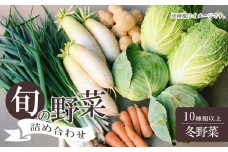 美祢市産 冬野菜の詰め合わせセット ｜ 10種類以上 野菜  BOX 冬野菜  セット 生野菜 生鮮野菜  サラダ   特産品 山口 美祢 美東 ゴボウ 牛蒡 ハクサイ 白菜 鍋 具材 コスパ 詰め合わせ 旬