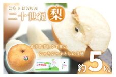美祢市秋芳町産 二十世紀梨 （ 約5kg ）【先行予約：9月より発送予定】｜ 二十世紀  なし 梨 フルーツ 大きい BIG サイズ 特産品 美祢市 美祢 山口県 山口 秋芳町 秋芳 カルスト台地 先行予約
