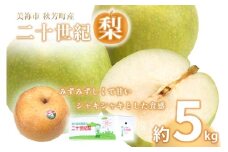 美祢市秋芳町産 二十世紀梨 （ 約5kg ）【先行予約：9月より発送予定】｜ 二十世紀  なし 梨 フルーツ 大きい BIG サイズ 特産品 美祢市 美祢 山口県 山口 秋芳町 秋芳 カルスト台地 先行予約