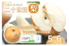 美祢市秋芳町産 二十世紀梨 （5~6玉）【先行予約：9月より発送予定】｜二十世紀  なし 梨 フルーツ 大きい BIG サイズ 特産品 美祢市 美祢 山口県 山口 秋芳町 秋芳 カルスト台地 先行予約