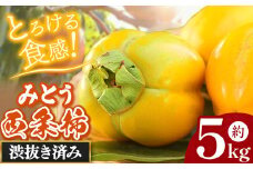 美東 西条柿 5kg 山口美祢産  先行予約＜10月中旬～10月下旬 発送予定＞ |  柿 かき ブランド 果物 果実 大きい 甘い 糖度 特産品 健康食品 山口 美祢 美東 カルスト台地 期間限定