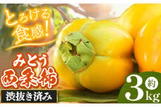 美東 西条柿 3kg 山口美祢産  先行予約＜10月中旬～10月下旬 発送予定＞ |  柿 かき ブランド 果物 果実 大きい 甘い 糖度 特産品 健康食品 山口 美祢 美東 カルスト台地 期間限定