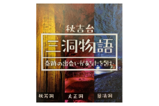 三洞周遊共通チケット「秋吉台三洞物語」（大人） ｜ 周遊 入洞 チケット 洞窟 美祢市 美祢 山口県 秋芳洞 大正洞 景清洞 洞窟 ライトアップ 秋吉台 旅行 レジャー