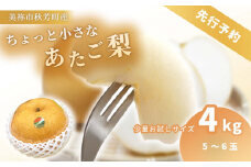 ちょっと小さな あたご梨 4kg【先行予約：11月より発送予定】｜ 梨 あたご  なし フルーツ 果物 くだもの BIG ビッグ 大きい 特産品 美祢市 山口県 美祢 秋芳 秋芳町 カルスト台地 先行予約 期間限定 4kg