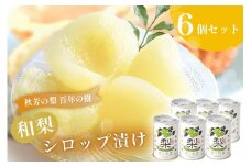 おいしい梨をいつでも 和梨のシロップ漬け 6個セット ( 秋芳の実 梨 百年の樹 ) | 梨 なし 秋芳梨 果実 フルーツ くだもの 果物 梨缶 缶詰 缶 シロップ 特産品 美祢市 山口 美祢 秋芳 秋芳町 お菓子 加工品 スイーツ
