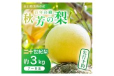 二十世紀梨 （約3kg）【先行予約：9月上旬より発送予定】｜ 二十世紀  なし 梨 フルーツ 特産品 美祢市 美祢 山口県 山口 秋芳町 秋芳 カルスト台地 先行予約