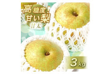甘太 ( かんた ) 3kg 先行予約 ( 2025年9月下旬 ～ 発送予定 ) | フルーツ 果物 くだもの 梨 なし ナシ 3キロ 特産品 山口県 山口 美祢市 美祢 秋芳 秋芳町 カルスト台地 期間限定