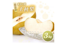 王秋 3kg 先行予約 ( 2025年11月中旬～発送予定 ) | フルーツ 果物 くだもの 梨 なし ナシ おうしゅう 3キロ 特産品 山口県 山口 美祢市 美祢 秋芳 秋芳町 カルスト台地 期間限定