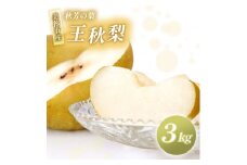 王秋 3kg 先行予約 ( 2025年11月中旬～発送予定 ) | フルーツ 果物 くだもの 梨 なし ナシ おうしゅう 3キロ 特産品 山口県 山口 美祢市 美祢 秋芳 秋芳町 カルスト台地 期間限定