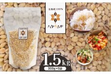 はだか麦 5袋セット ｜ 麦 はだか麦 セット ヘルシーフード 味噌 麦茶 特産品 美祢市 美祢 山口県 山口