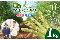 甘み感じる 植柳グリーンアスパラガス（春芽・夏芽）1kg ｜ アスパラ アスパラガス 野菜 山口 美祢 特産品 名産品 旬の野菜 野菜 1kg