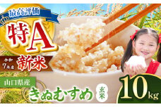 令和7年度産 新米 きぬむすめ 玄米 10kg 先行予約 ＜ 2025年10月～より順次発送予定 ＞ ｜ 米 精米 新米 玄米 米 雑穀 お米 コメ 単一米 きぬむすめ 絹娘  山口 美祢 秋吉台 10kg 