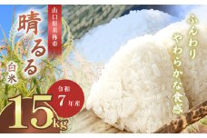 令和7年度産 新米晴るる 白米15kg 先行予約 ＜ 2025年10月～より順次発送予定 ＞ ｜ 米 精米 新米 白米 米 雑穀 お米 コメ 単一米 晴るる はるる  山口 美祢 秋吉台 15kg