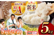 令和7年度産 新米 きぬむすめ 白米 5kg 先行予約 ＜ 2025年11月～より順次発送予定 ＞ ｜ 精米 新米 白米 米 お米 コメ 単一米 きぬむすめ 山口 美祢 秋吉台 5kg