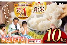 令和7年度産 新米 きぬむすめ 白米 10kg 先行予約 ＜ 2025年11月～より順次発送予定 ＞ ｜ 精米 新米 白米 米 お米 コメ 単一米 きぬむすめ 山口 美祢 秋吉台 10kg