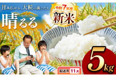 令和7年度産 新米 晴るる 白米 5kg 先行予約 ＜ 2025年11月～より順次発送予定 ＞ ｜ 精米 新米 白米 米 お米 コメ 単一米 晴るる はるる  山口 美祢 秋吉台 5kg