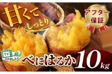 甘くておいしい！べにはるか 10kg  先行予約 ＜ 2025年9月中旬 ～ 12月 の期間より順次発送予定 ＞｜ さつまいも サツマイモ 芋 いも 野菜 紅はるか べにはるか 1kg 5kg 10kg