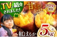 甘くておいしい！べにはるか 5kg  先行予約 ＜ 2025年9月中旬より順次発送予定 ＞｜ さつまいも サツマイモ 芋 いも 野菜 紅はるか べにはるか 1kg 5kg 10kg