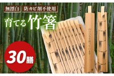 育てる 竹箸 ( 割り箸 ) 10膳 ３袋｜ 竹 天然 天然竹 環境 保護 割り箸 箸 竹箸 食器 キッチン 料理 山口 美祢市 美祢