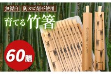 育てる 竹箸 ( 割り箸 ) 10膳 6袋｜ 竹 天然 天然竹 環境 保護 割り箸 箸 竹箸 食器 キッチン 料理 山口 美祢市 美祢