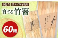育てる 竹箸 ( 割り箸 ) 10膳 6袋｜ 竹 天然 天然竹 環境 保護 割り箸 箸 竹箸 食器 キッチン 料理 山口 美祢市 美祢