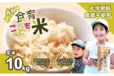 令和7年産 新米 みね食育こども米 ( 玄米 ) 10kg 先行予約 ＜ 9月中旬以降 発送予定 ＞ | 山口県 山口 美祢 楽天ふるさと ふるさと 納税 支援品 返礼品 支援 返礼 米 国産 玄米 食育 農薬不使用 健康 有機 ご当地 お土産 名産品 特産品  土産