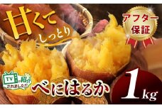 甘くておいしい！べにはるか 1kg  先行予約 ＜ 2025年9月中旬 ～ 12月 の期間より順次発送予定 ＞｜ さつまいも サツマイモ 芋 いも 野菜 紅はるか べにはるか 1kg 5kg 10kg
