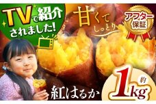 甘くておいしい！べにはるか 1kg  先行予約 ＜ 2025年9月中旬より順次発送予定 ＞｜ さつまいも サツマイモ 芋 いも 野菜 紅はるか べにはるか 1kg 5kg 10kg