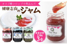 【ギフト用】数量限定　オリゴのめぐみ手作り無添加ヘルシージャム（おまかせ3本セット・110g×3本）