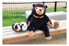 周南のほほんマレーグマ | ぬいぐるみ 動物 動物園 くま マレーグマ ギフト 贈り物 プレゼント 癒し 