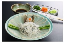 【受付再開時寄附額確認要】【着日指定可】とらふくお刺身（３人前）と周南市産地酒のセット