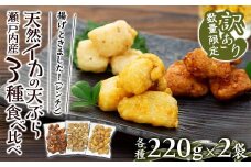 天ぷら 訳あり 食べ比べ 6袋 ( 220g × 各2袋 ) 天然イカの天ぷら