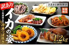 イカ 訳あり ゲソ付き 冷凍 スルメイカ 山口県産 1.2kg